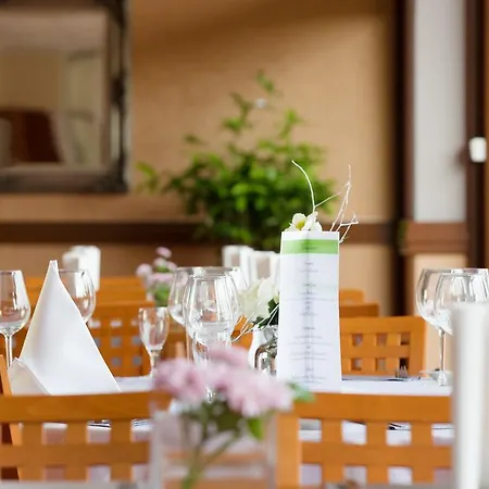 Montana Parkhotel 3* مارل